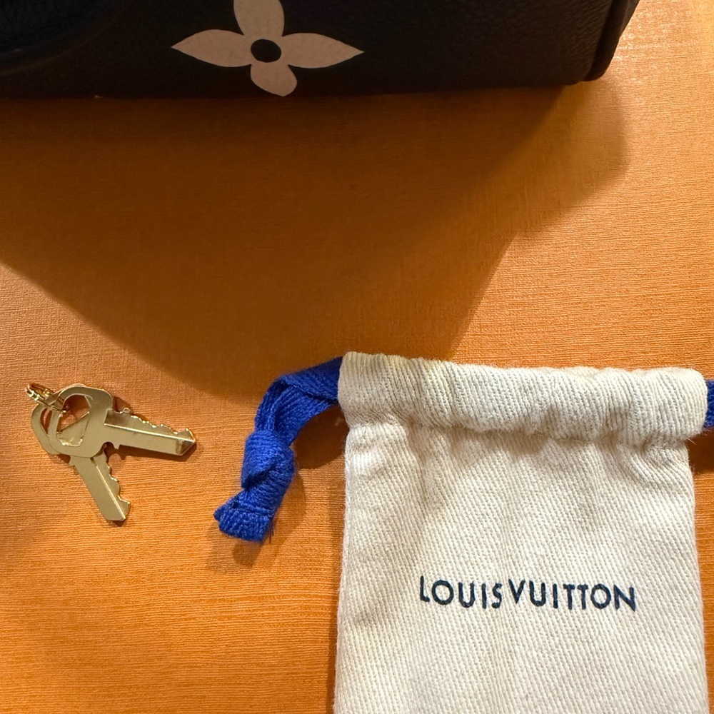 Louis Vuitton Blue and White Satchel with Iconic Monogram - Picture 9 of 10
